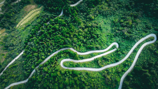 istock Top view of road through forest 1054316510