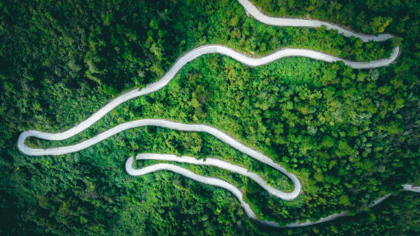 istock Top view of road through forest 1054316512