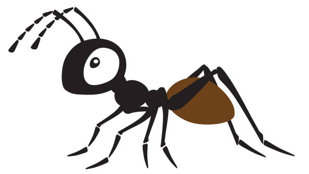 cartoon ant insect cartoon ant insect . Side view vector illustration isolated on white ant stock illustrations