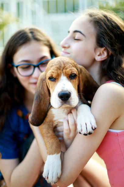 istock Young girls playing with the dog while giving him a bath 1054338152