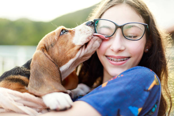 młoda dziewczyna bawi się z psem, dając mu kąpiel - child glasses eyewear little girls zdjęcia i obrazy z banku zdjęć