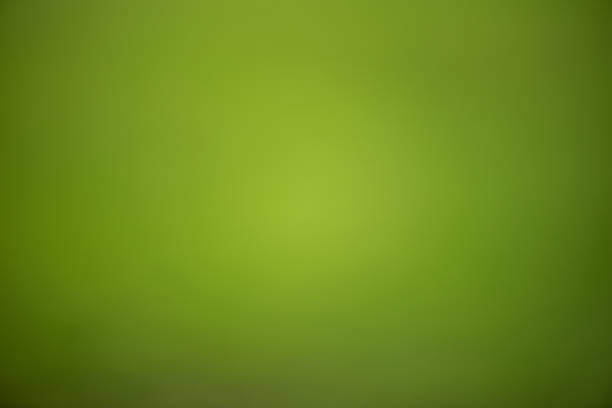 istock Full Frame Shot Of Green Wall 1054349818