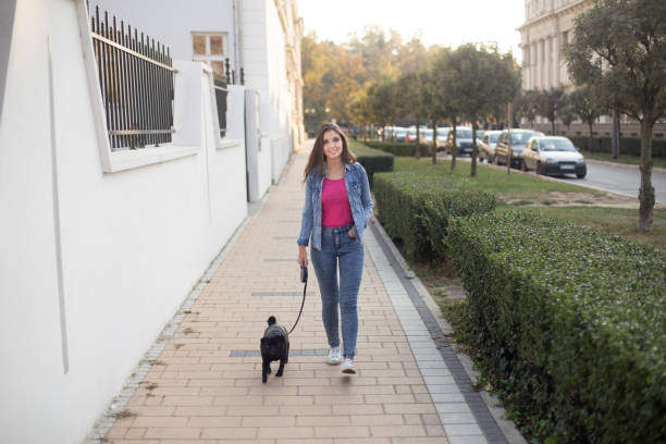 istock Woman walking her dog 1054350238
