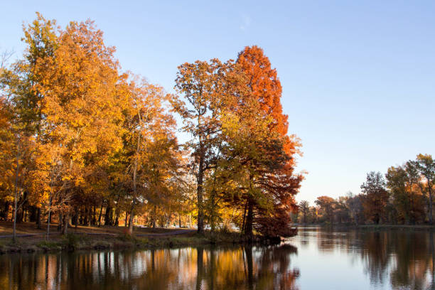 istock Colourful autumn foliage with lake reflection 1054350564