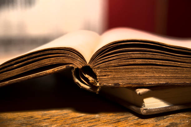 istock Open book on a bright wooden shelf 1054353324