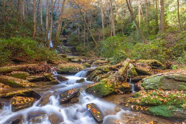 istock High Shoals Creek in the Georgia Mountains 1054359072