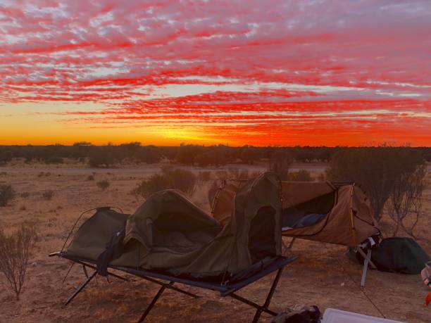 Sunrise campsite stock photo