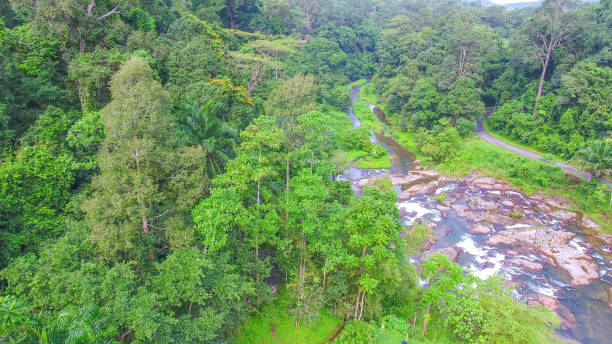 istock Aerial shot tropical forest and  Waterfall  south Thailand 1054366820