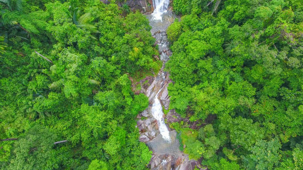 istock Aerial shot tropical forest and  Waterfall  south Thailand 1054367242