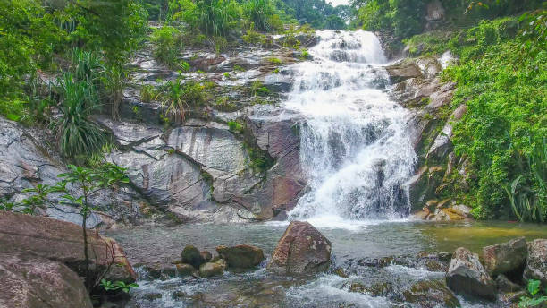 istock Aerial shot tropical forest and  Waterfall  south Thailand 1054367278