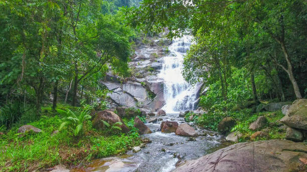 istock Aerial shot tropical forest and  Waterfall  south Thailand 1054367404