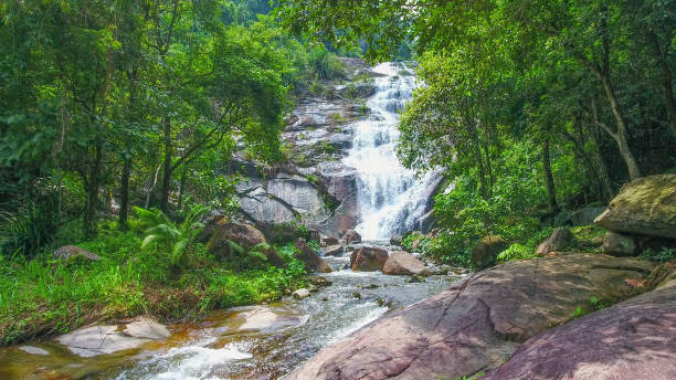 istock Aerial shot tropical forest and  Waterfall  south Thailand 1054371170