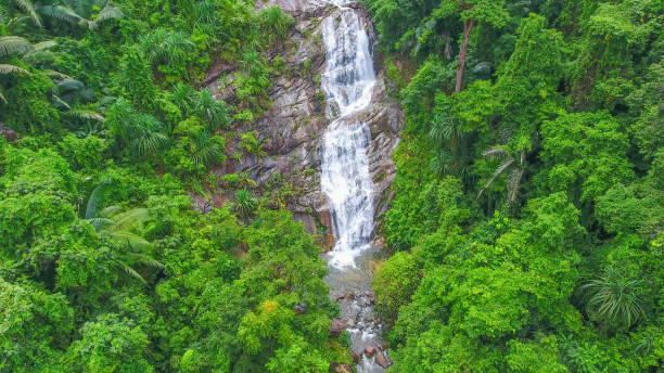 istock Aerial shot tropical forest and  Waterfall  south Thailand 1054374508