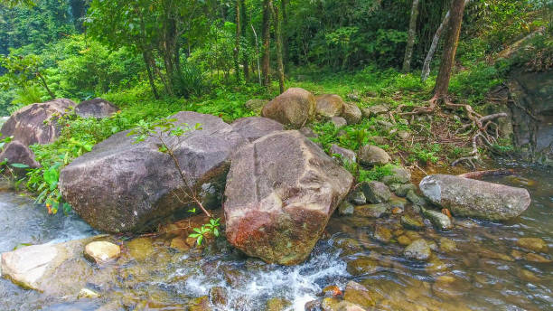 istock Aerial shot tropical forest and  Waterfall  south Thailand 1054374554