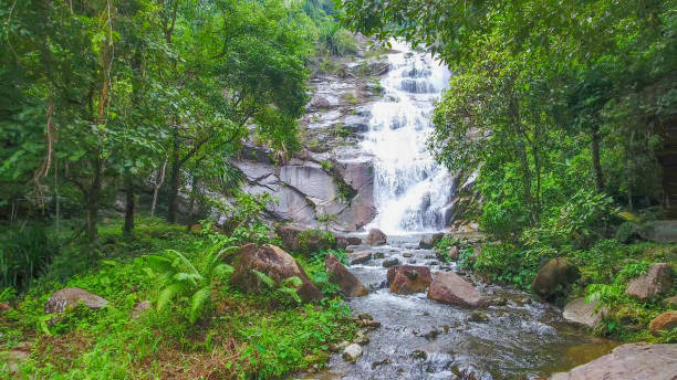 istock Aerial shot tropical forest and  Waterfall  south Thailand 1054374600