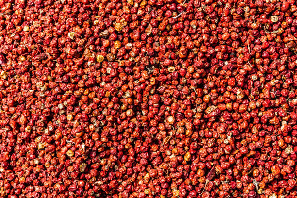 istock Red Chillies Pakistan 1054377882