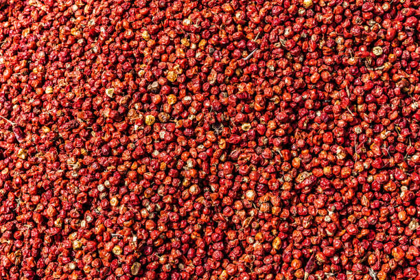 istock Red Chillies Pakistan 1054377910