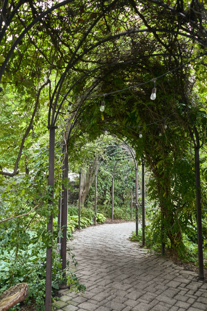 istock hall of plants in the park 1054388186