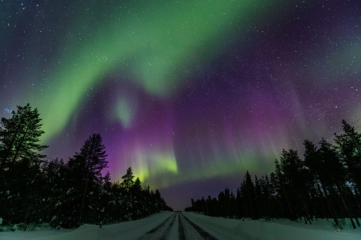 Beautiful purple and green Northern Lights (Aurora Borealis) in the night sky over winter Lapland landscape, Finland, Scandinavia