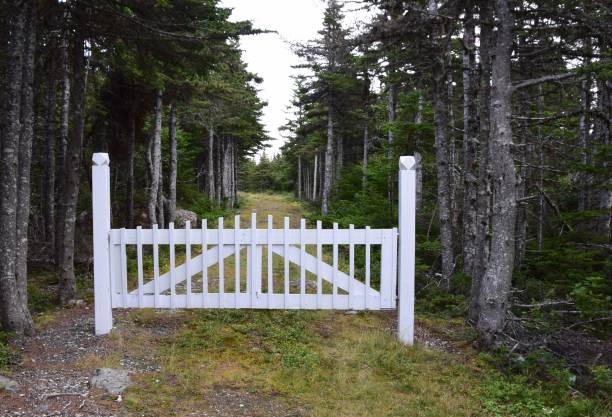 picchetto bianco recinzione cancello di legno - picket fence grass gardens nature foto e immagini stock