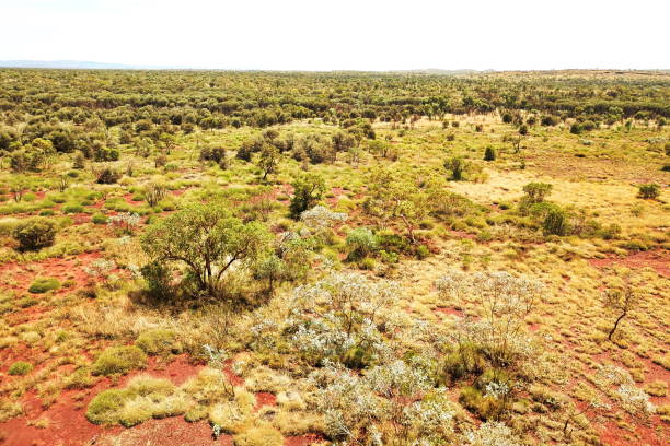 istock Australian outback from the air 1054401376