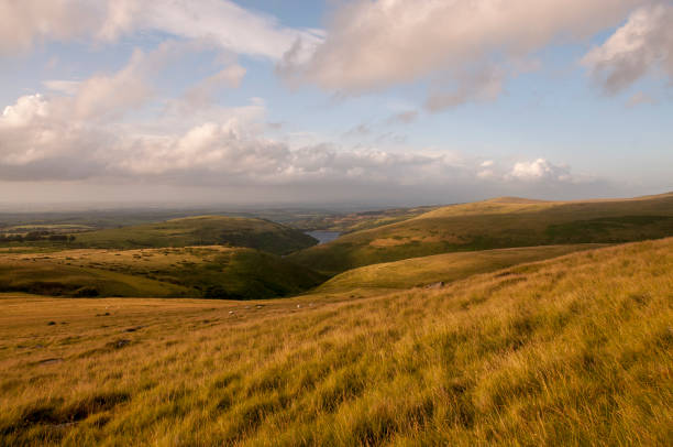 istock Evening view towards Meldon Reservoir on Dartmoor 1054402682