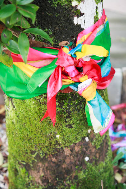 istock binding or tying tricolor or seven colors holy fabric decor around old aged ancient tree. Religious Belief, Tradition, Signs and Symbols, Rituals, Ceremonies in Brahman, Buddhism, Hinduism religions. 1054407490
