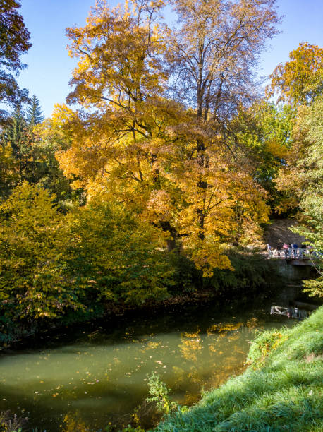 istock Park autumn landscape with autumnal colored trees, meadows and rivers in Weimar, Thuringia, Germany 1054407970