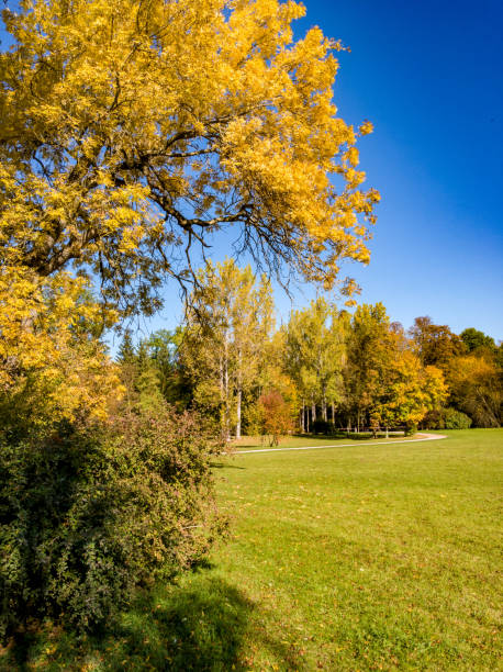 istock Park autumn landscape with autumnal colored trees, meadows and rivers in Weimar, Thuringia, Germany 1054409056