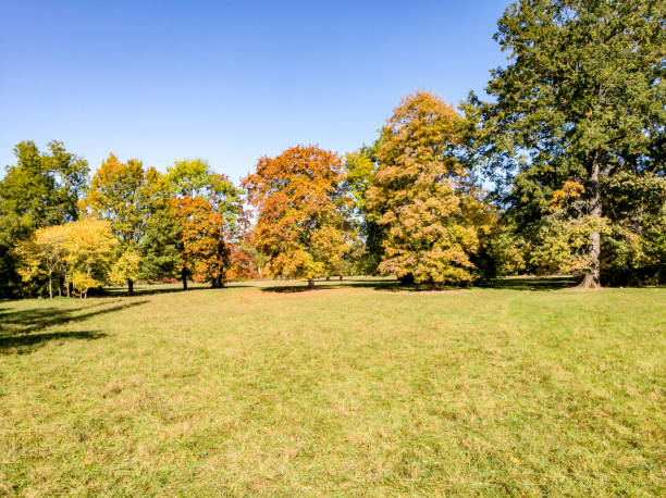 istock Park autumn landscape with autumnal colored trees, meadows and rivers in Weimar, Thuringia, Germany 1054409200