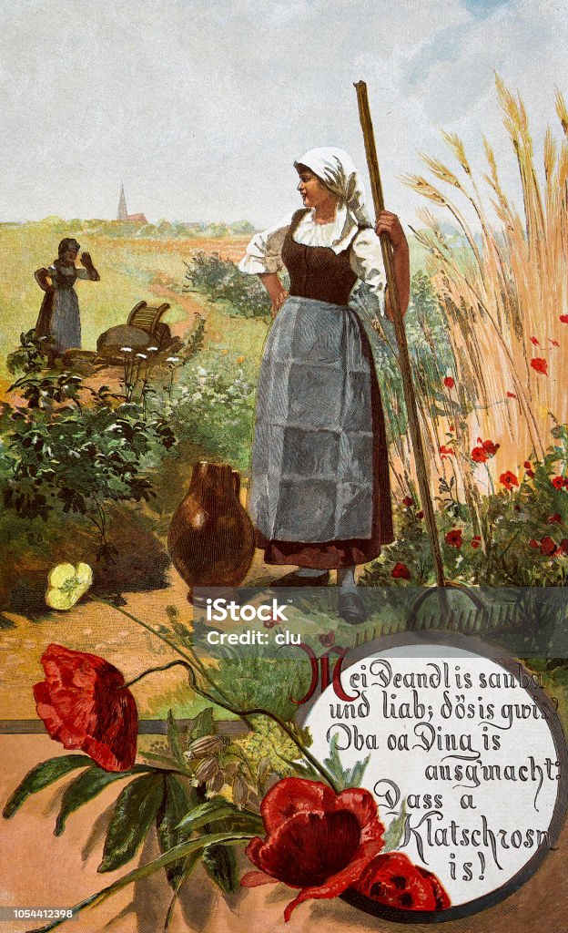 Young woman with rake on the field Illustration from 19th century Church stock illustration