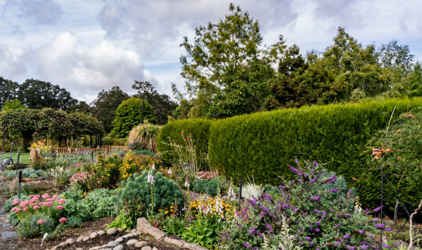 istock The field of autumn. 1054413496