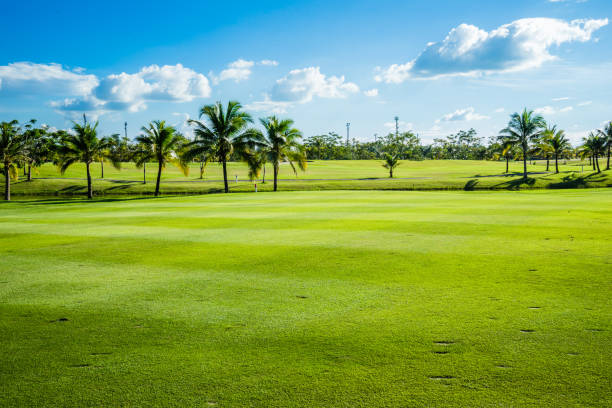 istock green lawn an blue sky 1054413598