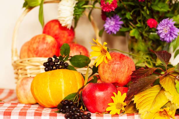 istock Autumn composition of apples and flowers 1054413682