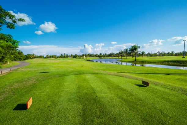 istock green lawn an blue sky 1054413992