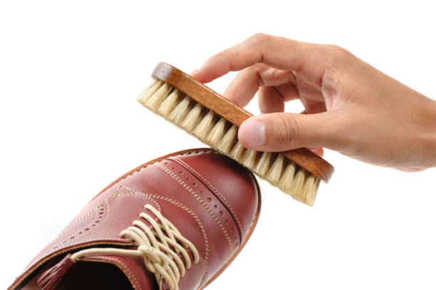 istock the horsehair brush 1054414010