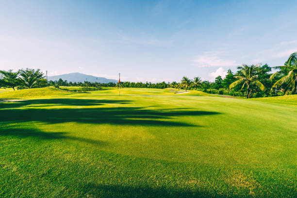 istock green lawn an blue sky 1054414146