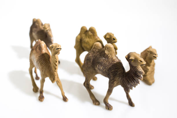 istock Christmas objects, plastic animals camels for nativity diorama isolated in a white background composition 1054416710