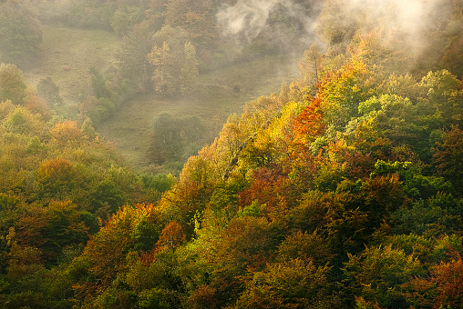 Autumn landscape, natural park Ubiñas table, fog, Asturias, Spain