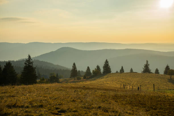 Germany, Foggy black forest morning on mountain top