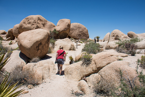 Young adult woman begins a hike in the large rocks of Joshua Tree National Park on a trail on a sunny summer day