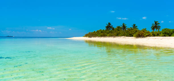 istock Maldives paradise sandy beach, Hangnaameedhoo, Maledives. Copy space for text. 1054435058