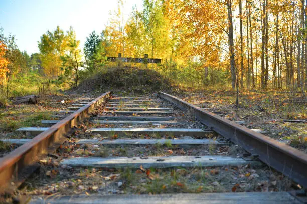 The end of the railway track in the autumn sunny forest