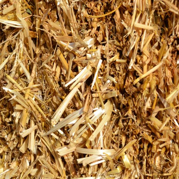 istock Close up to heap of a straw as a texture for background. 1054457420