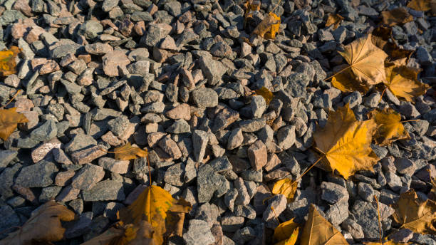 istock Crushed broken stone breakstone texture and background with fallen yellow leaves 1054457602