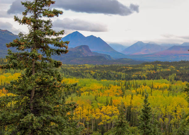 istock Autumn Colors in Alaska 1054470726