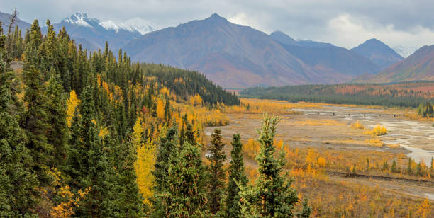 istock Autumn Colors, Denali National Park, Alaska 1054470770