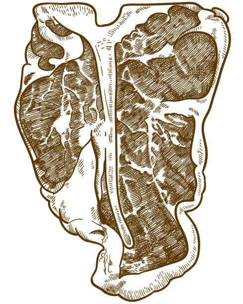 t ボーン ステーキのイラストを彫刻 - steak meat t bone steak raw点のイラスト素材／クリップアート素材／マンガ素材／アイコン素材