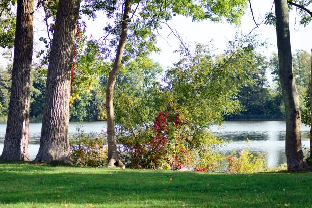 istock Beautiful park in the medieval city 1054474000