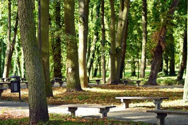 istock Beautiful park in the medieval city 1054474392
